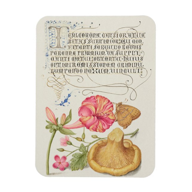 Magnet Flexible Scène de jardin avec fleurs, papillon et champigno (Vertical)