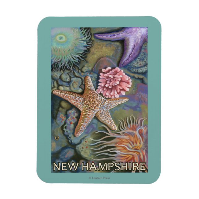 Magnet Flexible Scène New HampshireTidepool (Vertical)