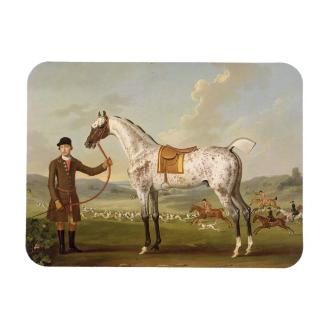 Magnet Flexible Scipio, Colonel Roche's Spotted Hunter, vers 1750  (Horizontal)