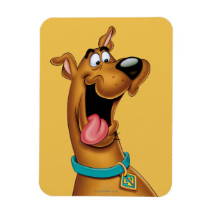 Magnet Flexible Scooby Doo Visage Excité