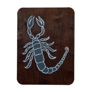 Magnet Flexible Scorpion 2008