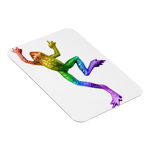 Magnet Flexible Sculpture de grenouille arc-en-ciel de SlipperyJoe (Côté Droit)