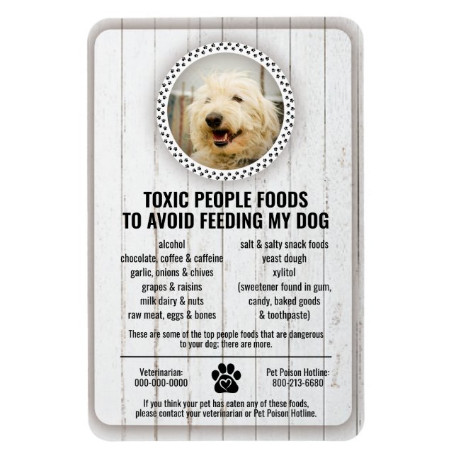 Magnet Flexible Sécurité de la nourriture pour animaux de compagni (Vertical)