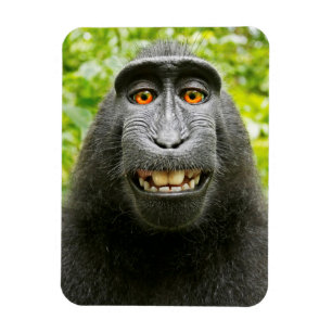 Magnet Flexible Selfie de singe