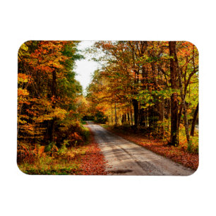 Magnet Flexible Sentier boisé avec feuillage d'automne