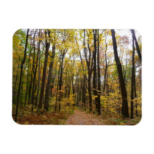 Magnet Flexible Sentier d'automne et feuilles dorées à Laurel Hill