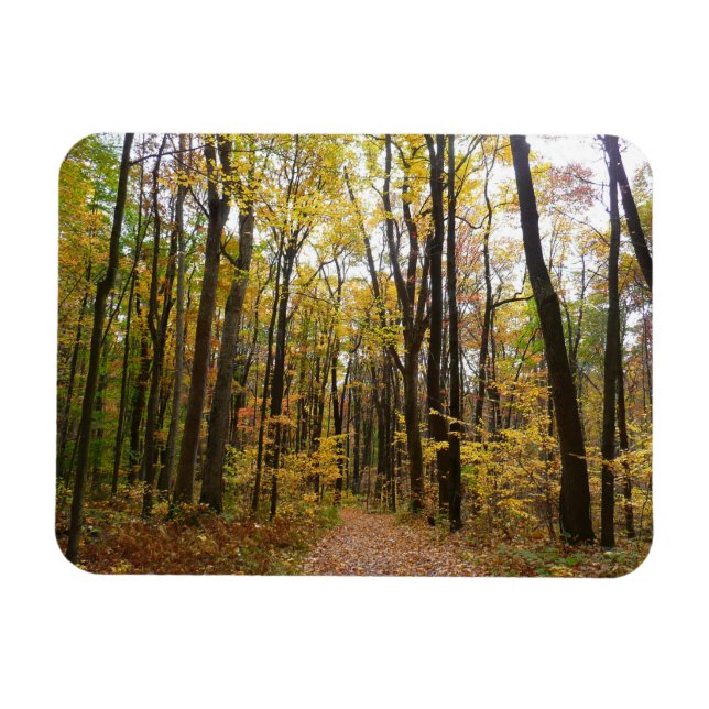 Magnet Flexible Sentier d'automne et feuilles dorées à Laurel Hill (Horizontal)