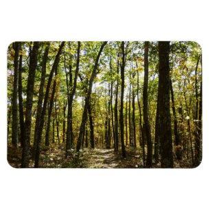 Magnet Flexible Sentier des Appalaches en octobre à Shenandoah