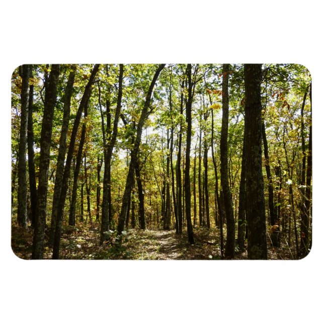 Magnet Flexible Sentier des Appalaches en octobre à Shenandoah (Horizontal)