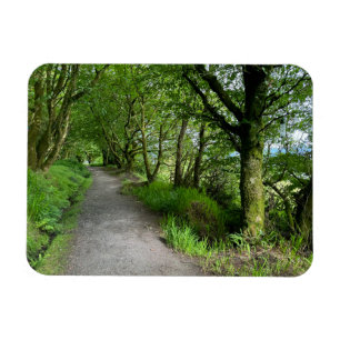 Magnet Flexible Sentier forestier sur l'île de Bute en Écosse par