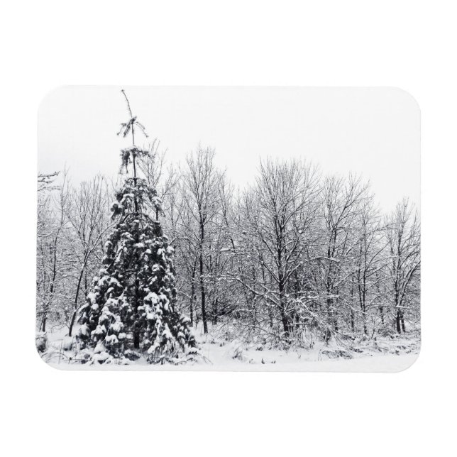 Magnet Flexible séparation de l'incertitude (Horizontal)