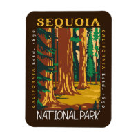 Sequoia National Park California Retro perturbé