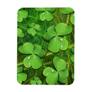 Magnet Flexible Shamrock vert St Patrick iPhone 5 Coque-Mate