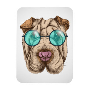 Magnet Flexible Sharpei dans les lunettes de soleil