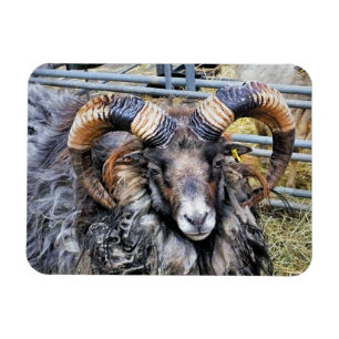 MAGNET FLEXIBLE SHEEP