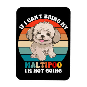 Magnet Flexible Si je ne peux pas amener mon chien Maltipoo, je ne