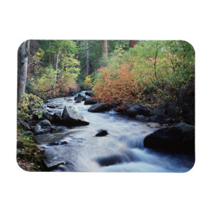 Magnet Flexible Sierra Nevada Mountains 11