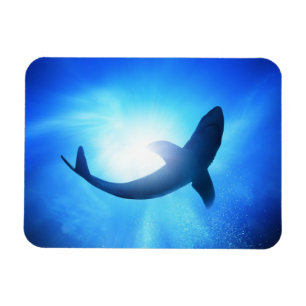 Magnet Flexible Silhouette de requin de l'océan profond