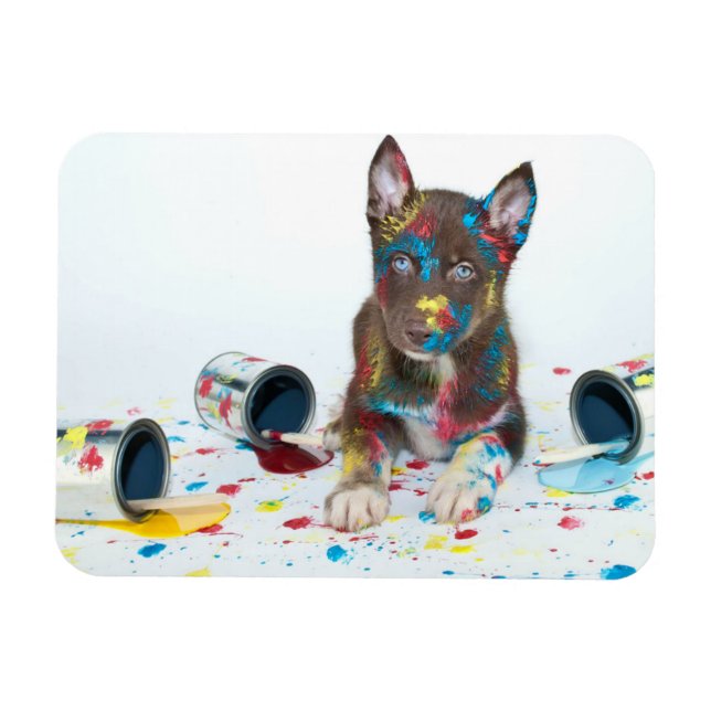 Magnet Flexible Silly Husky Puppy got into Paint Buckets (Horizontal)