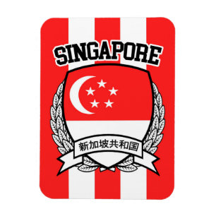Magnet Flexible Singapour