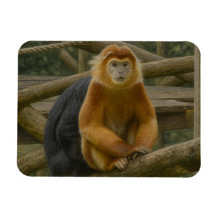 Magnet Flexible Singe à nez serré dans le refuge des bois