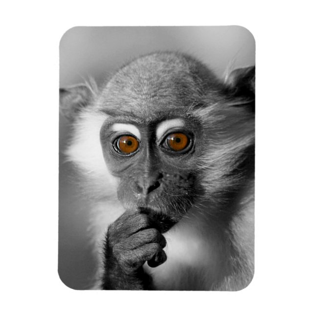 Magnet Flexible Singe de Mangabey de bébé (Vertical)