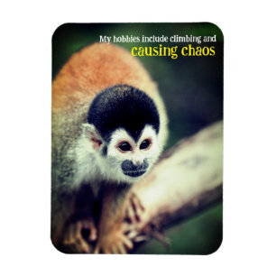 Magnet Flexible Singe écureuil dans l'arbre