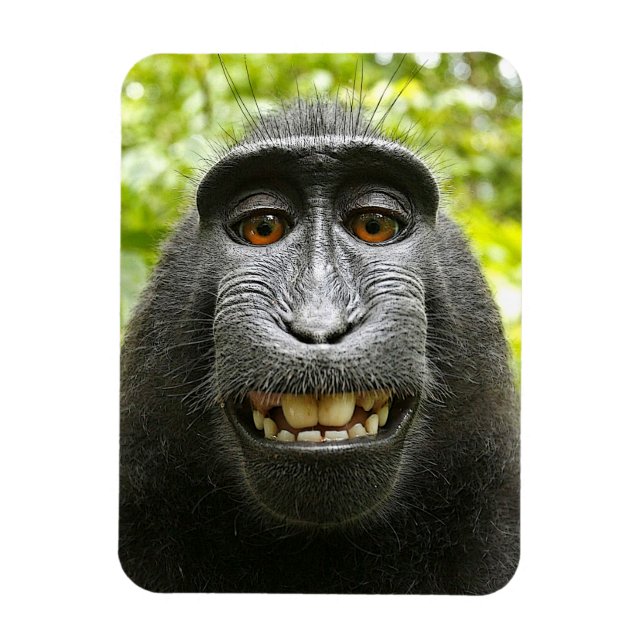 Magnet Flexible Singe macaque des celebes crêpes souriantes (Vertical)