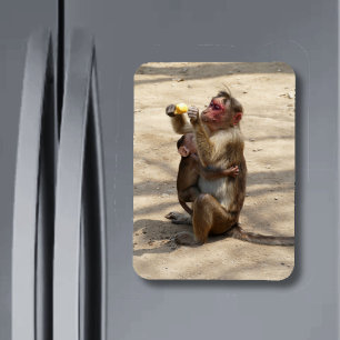 Magnet Flexible Singe - Mères Petit-Déjeuner