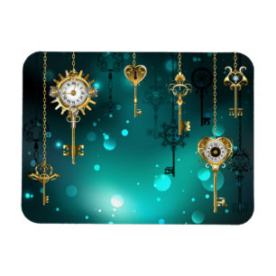 Magnet Flexible Skeleton Keys on Green Background