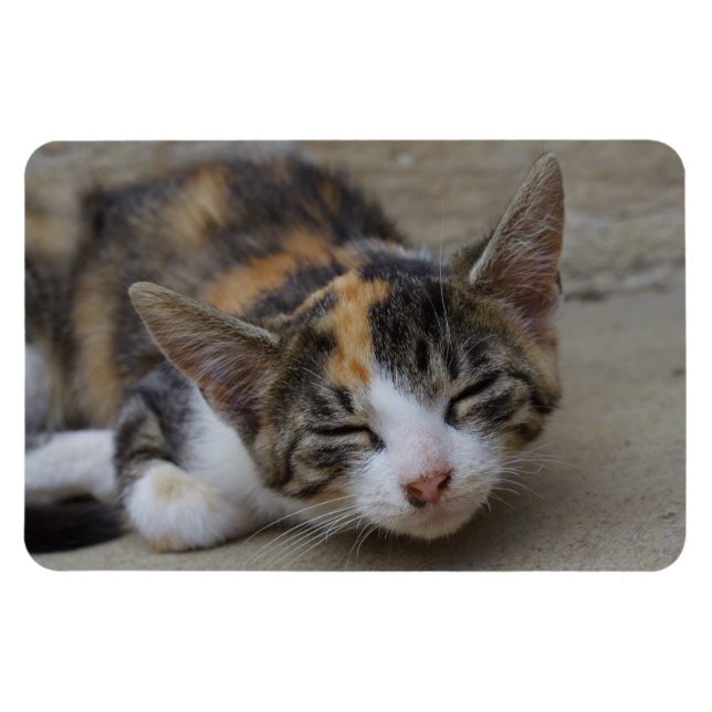 Magnet Flexible Sleeping Calico Kitten (Horizontal)