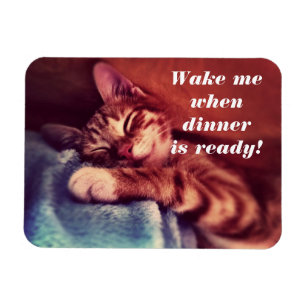 Magnet Flexible Sleepy Kitten Magent