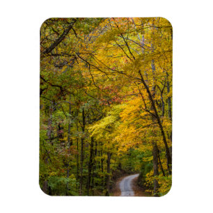 Magnet Flexible Small Gravel Road Lined With Autumn Color