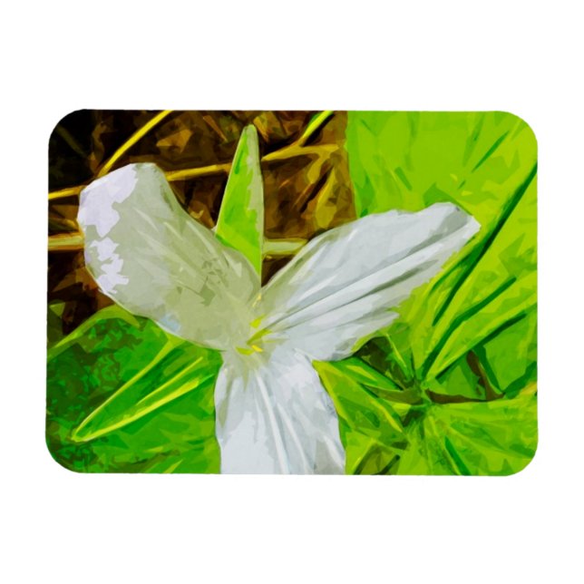 Magnet Flexible Snow Trillium un Fleur sauvage blanc Abstrait (Horizontal)