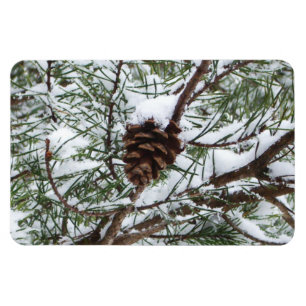 Magnet Flexible Snowy Pine Cône II hiver Photographie de la nature