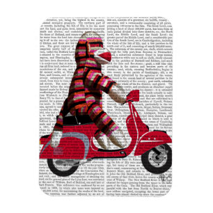 Magnet Flexible Sock Monkey on Moped