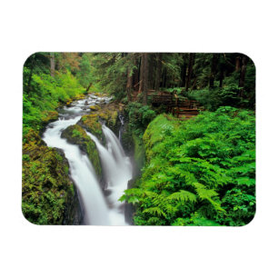 Magnet Flexible Sol Duc Falls dans le Parc national Olympique en