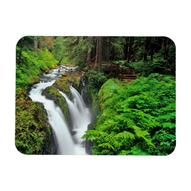 Magnet Flexible Sol Duc Falls dans le Parc national Olympique en (Horizontal)