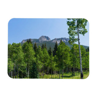 Magnet Flexible sommet thorodin au-dessus des bois à la porte d'or