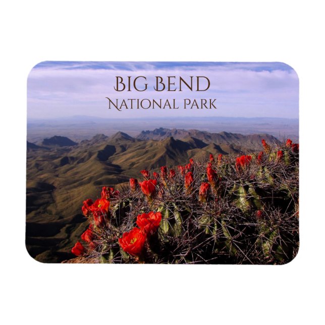 Magnet Flexible South Rim, Cactus Blossoms, Big Bend National Park (Horizontal)