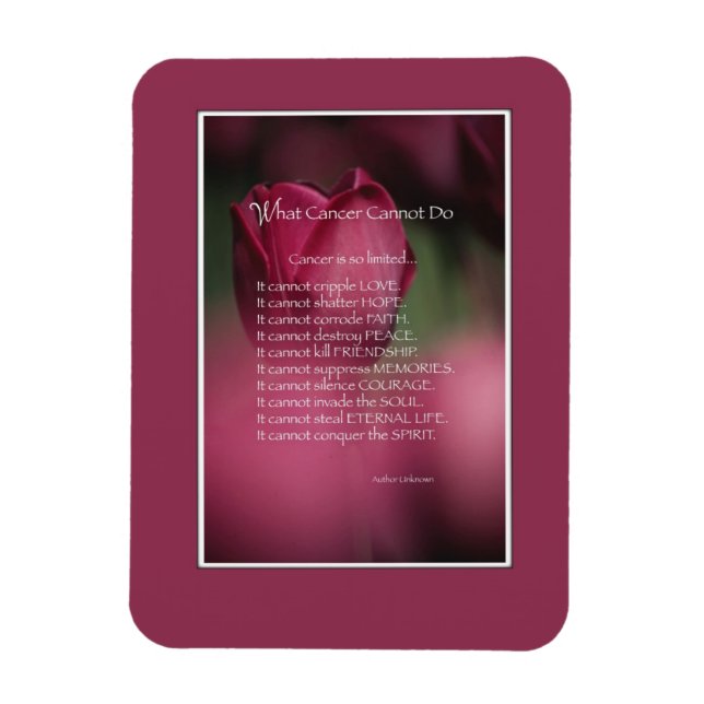 Magnet Flexible Soutien au cancer, Ce que le cancer ne peut pas fa (Vertical)