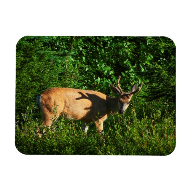 Magnet Flexible Soyez sur votre chemin (Horizontal)