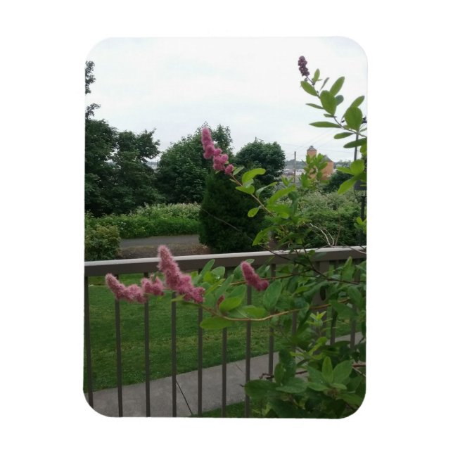 Magnet Flexible Spirea (Vertical)