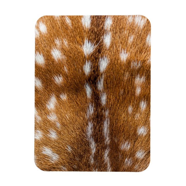 Magnet Flexible Spotted deer pour texture (Vertical)