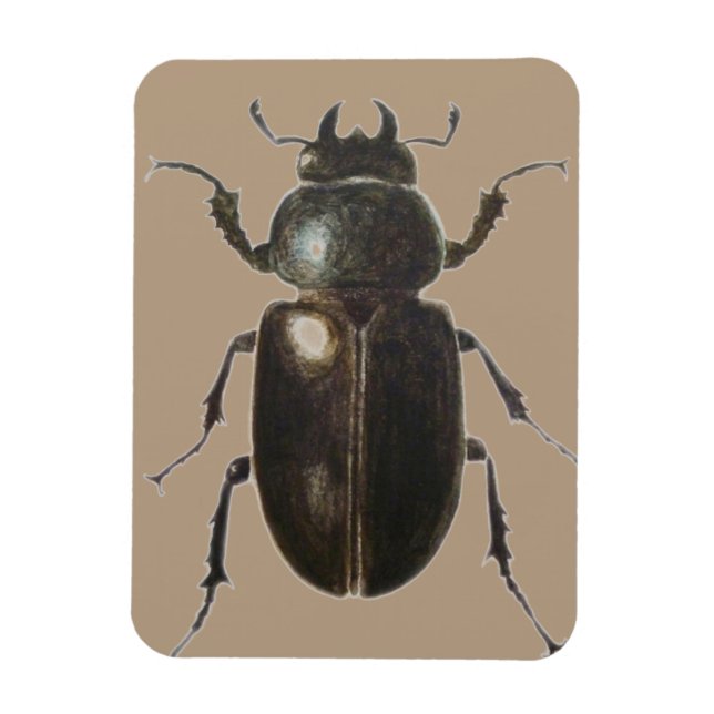 Magnet Flexible Stag Beetle 2011 (Vertical)