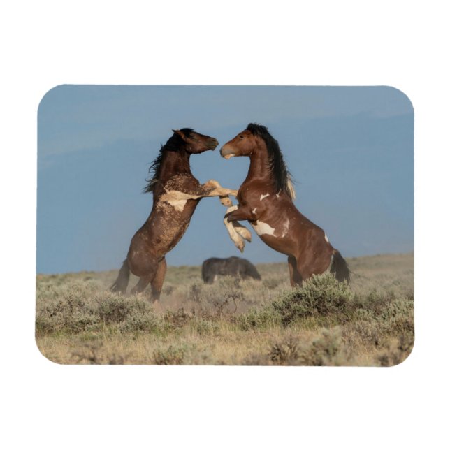Magnet Flexible Stallions de Cheval Sauvage combattant (Horizontal)