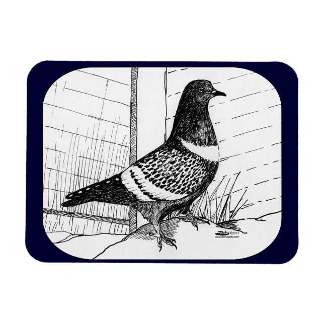 Magnet Flexible Starling Pigeon 1973 (Horizontal)