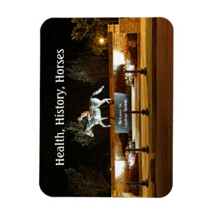 Magnet Flexible Statue du cheval Danseuse autochtone Saratoga Magn