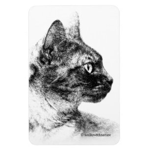 Magnet Flexible Stella le chat gris