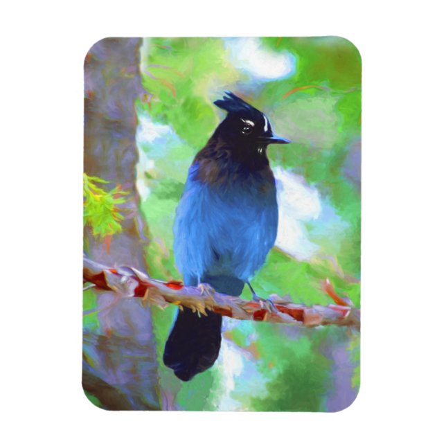 Magnet Flexible Steller's Jay Painting - Art original pour oiseaux (Vertical)